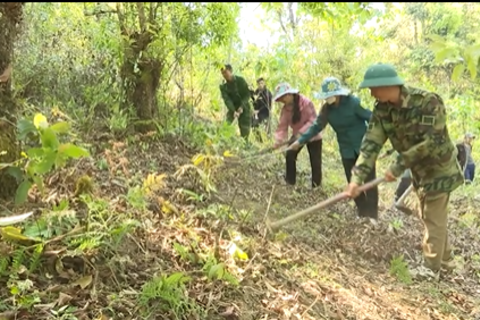 Sìn Hồ tăng cường công tác phòng cháy chữa cháy rừng mùa hanh khô