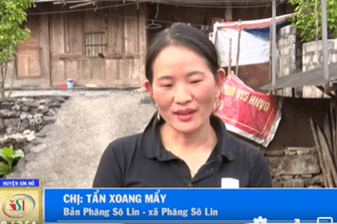 Phăng Sô Lin chủ động phòng chống dịch bệnh cho đàn vật nuôi