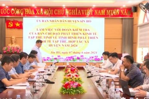 Ban Chỉ đạo phát triển kinh tế tập thể tỉnh làm việc tại huyện Sìn Hồ