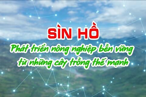 Sìn Hồ phát triển nông nghiệp bền vững từ những cây trồng thế mạnh
